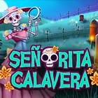 Bingo Señorita Calavera screenshot